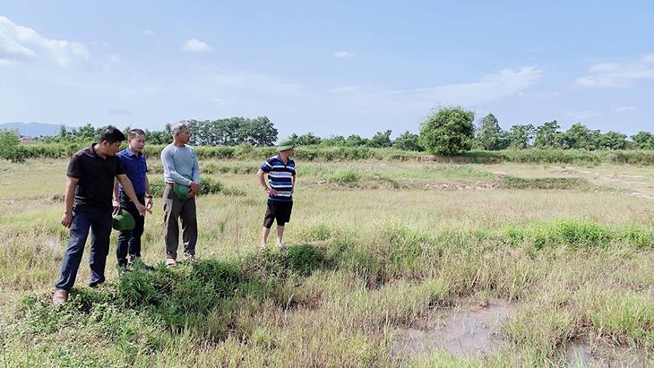Kiểm tra kỹ mảnh đất ruộng