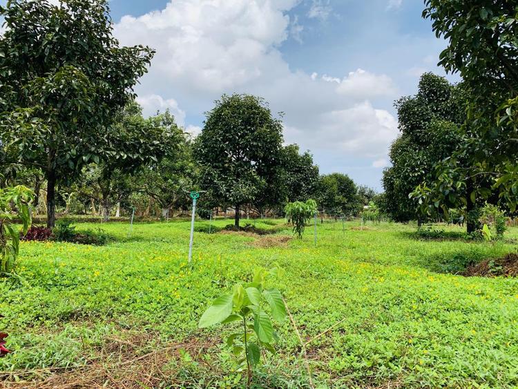 Đất vườn không được coi là đất phi nông nghiệp