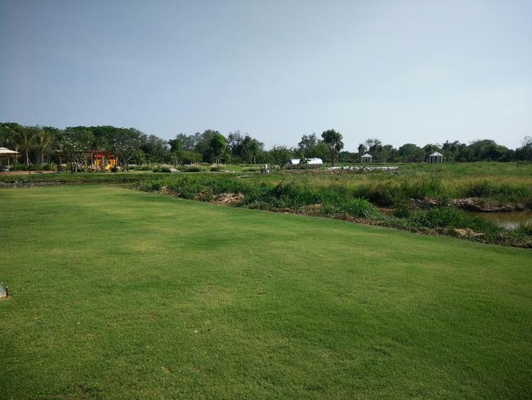 Cần tuân thủ quy định chuyển mục đích sử dụng để tránh bị xử phạt 