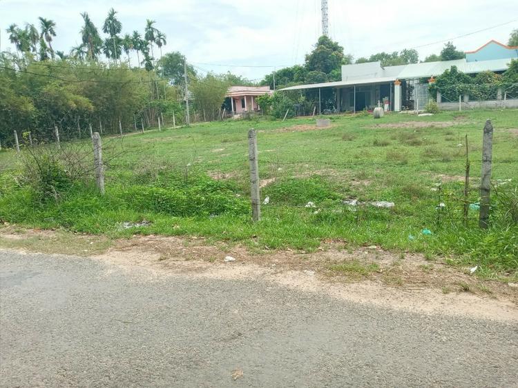 Cần phân biệt đất vườn và đất trồng cây lâu năm khác nhau