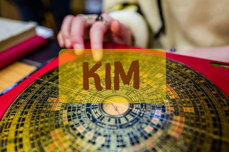 người mệnh kim hợp cây gì được nhiều người quan tâm