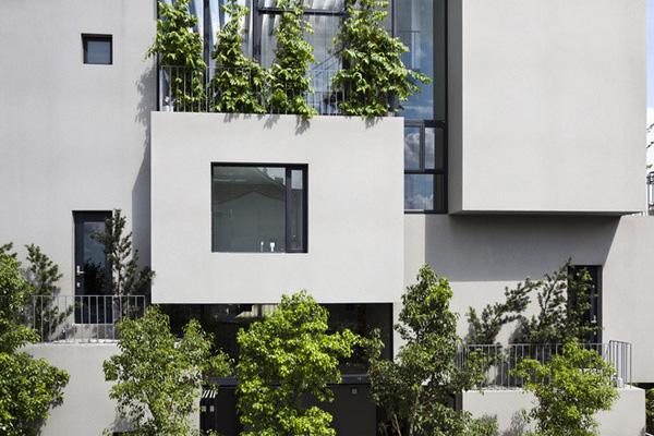 trồng cây xanh chống nóng