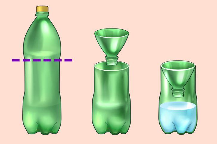 Bẫy bắt côn trùng tự chế
