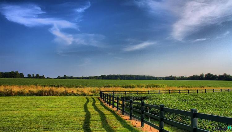  Nhà nước cho phép chuyển đổi đất ĐRM thành đất thổ cư