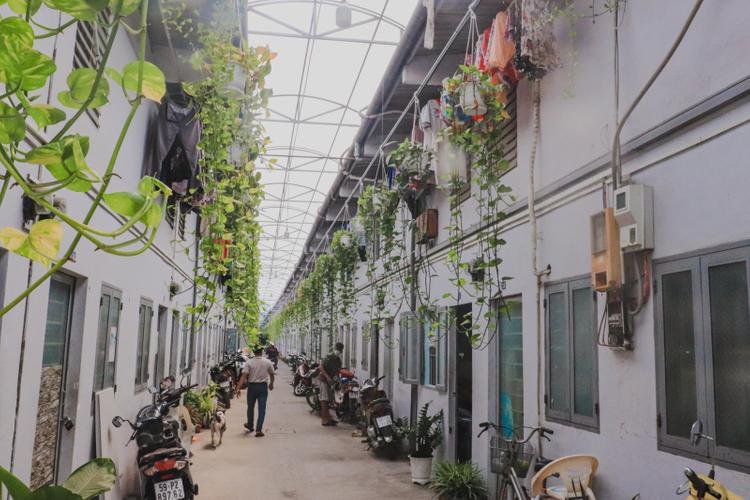 dãy trọ quận 12