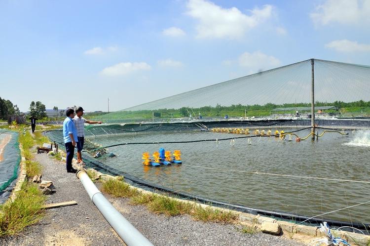  Đất nuôi trồng thủy sản có được bồi thường