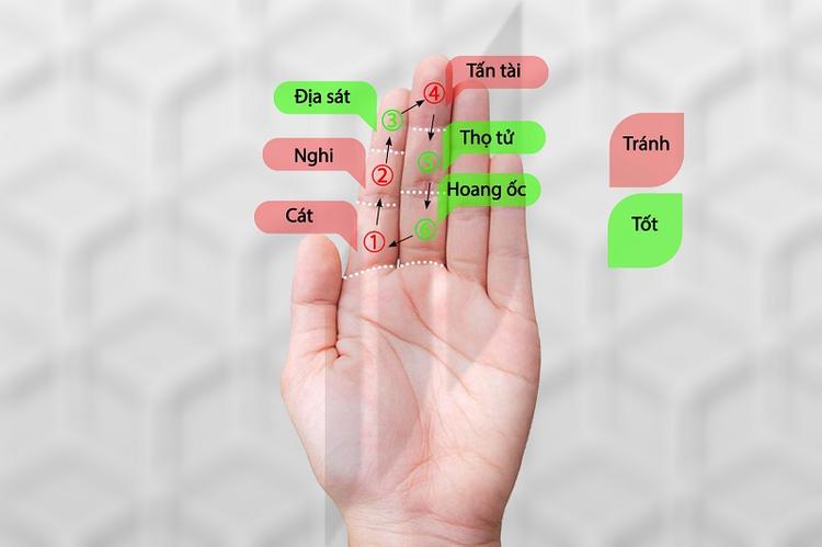 Cách tính tuổi hoang ốc dựa vào đầu ngón tay