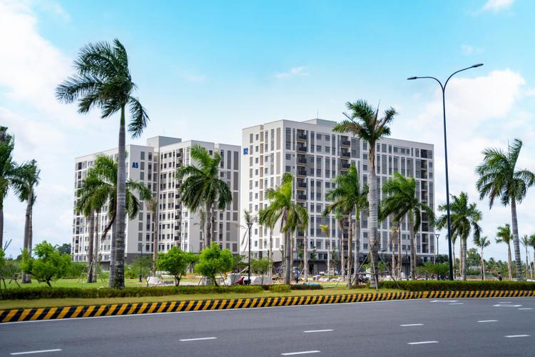 hình ảnh tại một dự án căn hộ