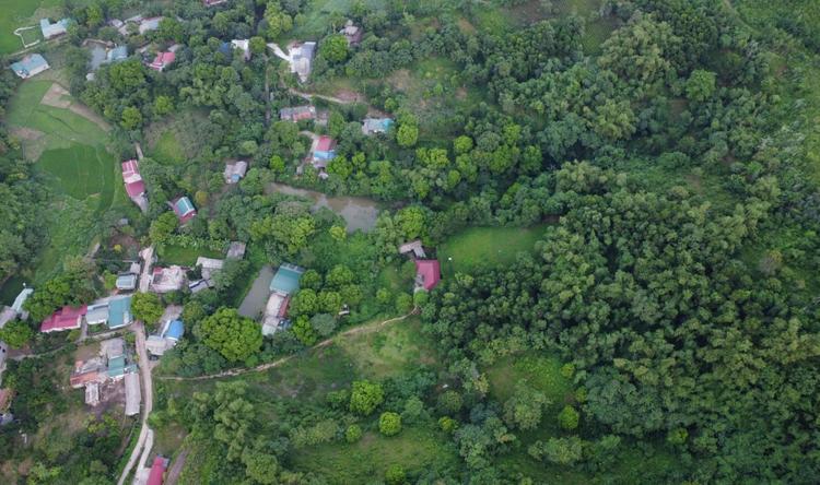  Đất rừng sản xuất có thể lên thổ cư nếu đáp ứng đủ điều kiện