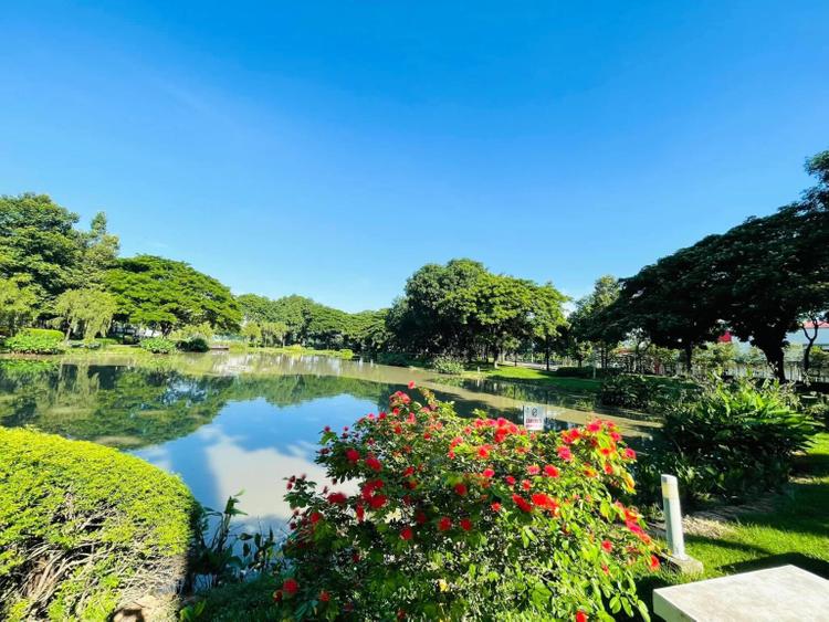 Vườn hoa cảnh quan công viên Celadon City