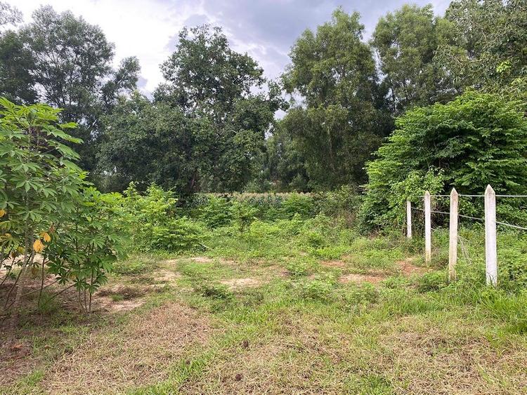 Nhiều người không biết đất vườn tạp là đất gì