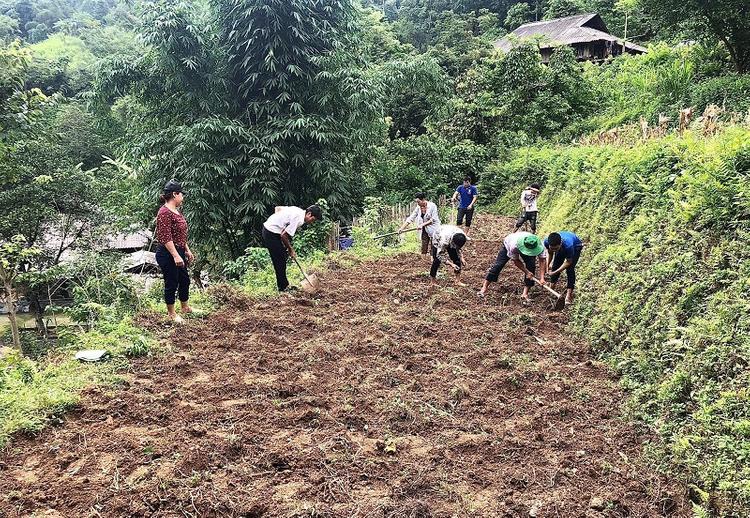  Hình ảnh người dân đang cải tạo đất vườn tạp