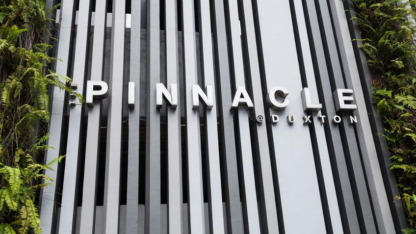 Why is Pinnacle@Duxton such an attractive HDB development?