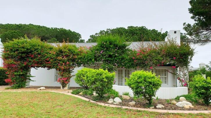 18 Desain Taman Belakang Rumah Minimalis dan Panduan Desainnya