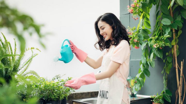 A Great Garden Design Can Brighten Your Backyard Garden!