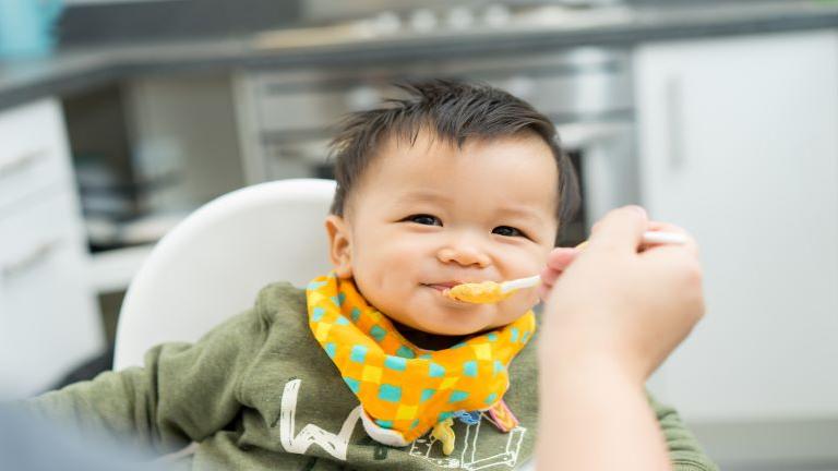 13 Ide Resep MPASI untuk 6 Bulan Pertama dan Cara Mempersiapkannya di Rumah