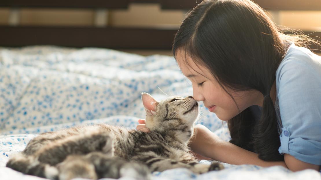 7 เคล็ดลับดูแลบ้านให้สะอาดง่าย ๆ สำหรับคนเลี้ยงหมา-แมว