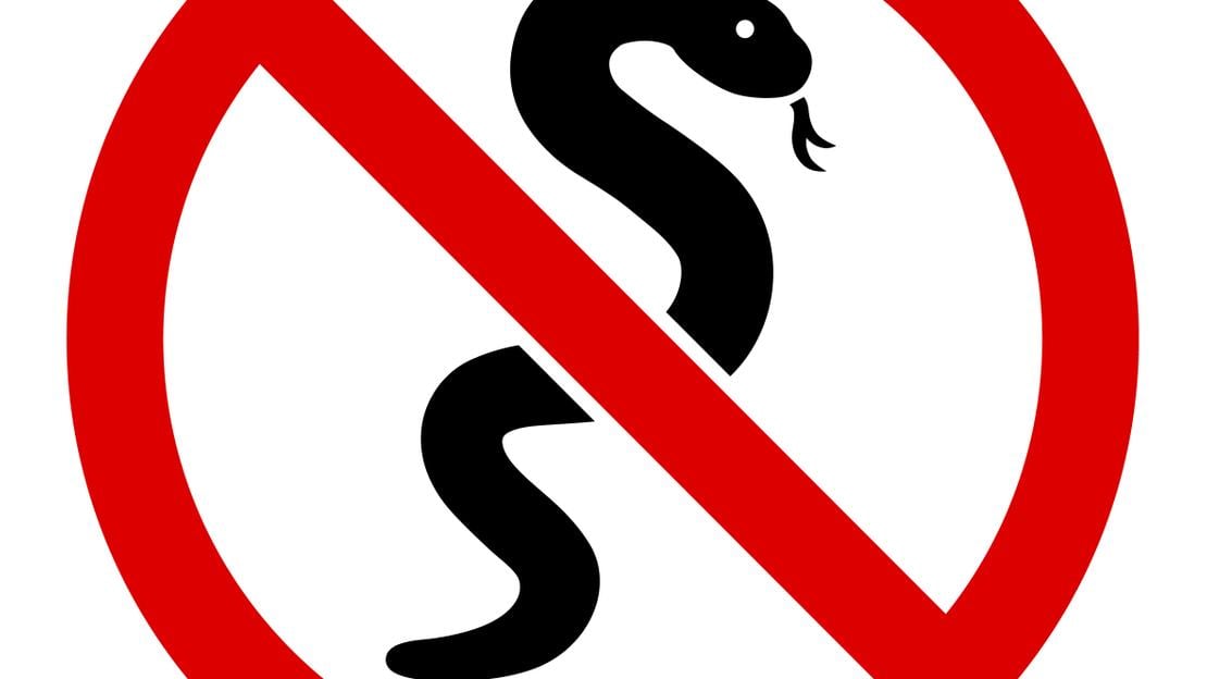 งูกลัวอะไร 5 วิธีไล่งูและป้องกันงูไม่ให้เข้าบ้าน