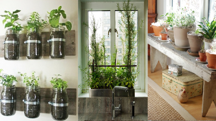 15 Inspirasi Taman Kering  Indoor dan Outdoor
