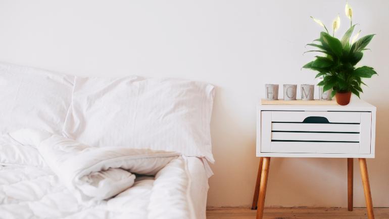 6 Tumbuhan Terbaik Untuk Bilik Tidur Buat Tidur Yang Lena