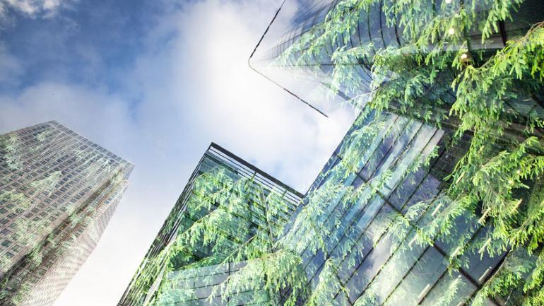 Natural Solutions: Are They Suitable Property Solutions For Climate Change?
