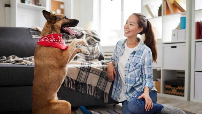 5 Most Dog-friendly Neighbourhoods in Singapore: Dog-friendly Cafes, Dog Grooming Salons and More