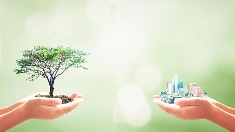 10 Urban Properties With Beautiful Nature To Explore