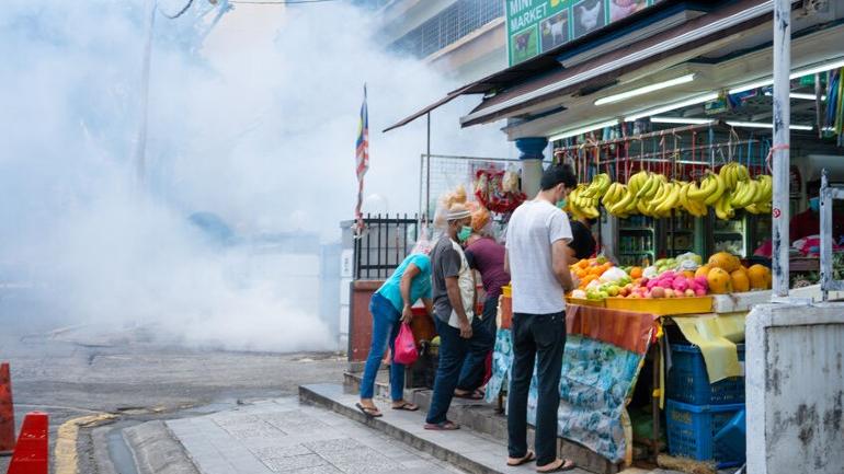 Denggi Di Malaysia: Adakah Rumah Anda Dalam Zon Merah?