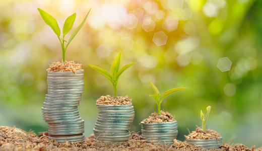 ราคาประเมินที่ดิน 2569 เคล็ดลับฉบับมือใหม่หัดซื้อที่ดิน