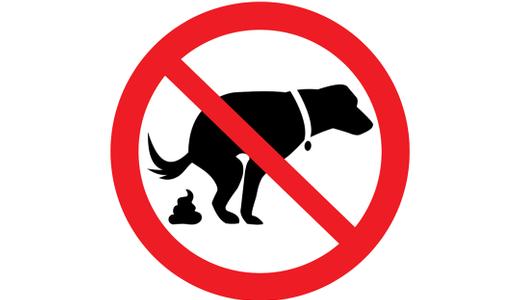 วิธีแก้สุนัขถ่ายไม่เป็นที่ 9 เคล็ดลับไม่ให้หมามาอึหน้าบ้าน