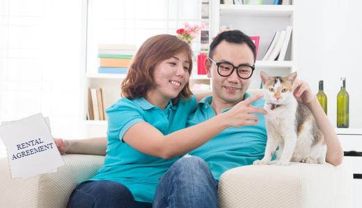 Renting With Pets: Top Tips And Tricks To Keeping Your Furbaby!