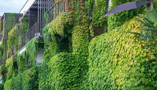 Sustainable developments don’t have to be expensive