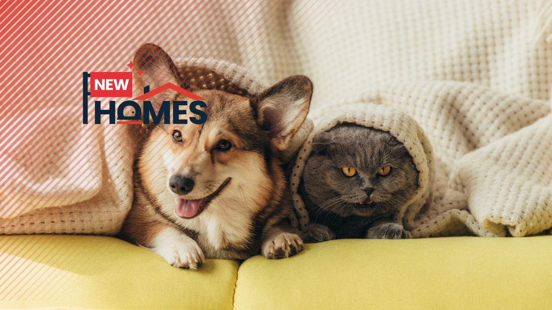 4 Pet-Friendly New Launches Perfect for Fur Parents in KL and Selangor