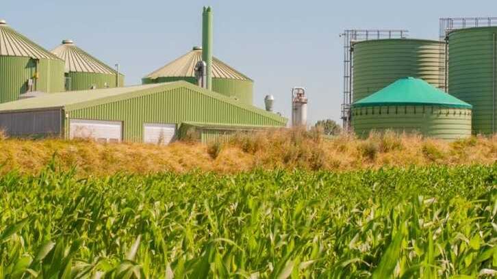 Biomassa: Pengertian, Manfaat, Contoh, dan 7 Fakta yang Perlu Anda Tahu