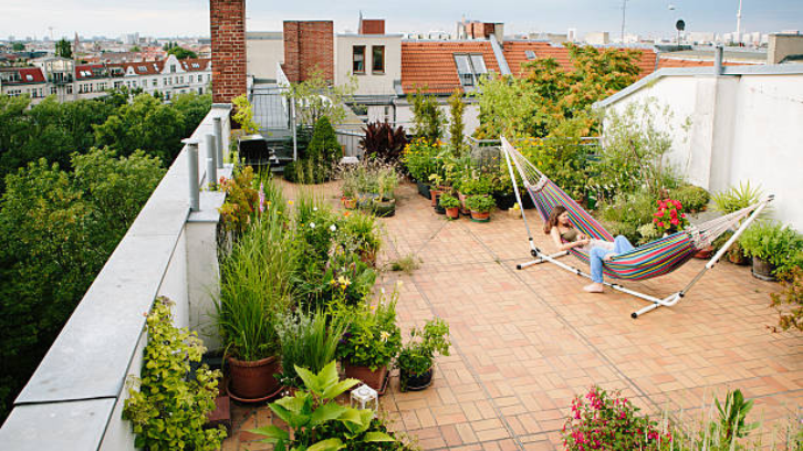 10 Tanaman untuk Rooftop Garden di Rumah, Hunian Makin Mewah