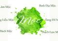 Tùng Bách Mộc Là Gì? Tại Sao Đây Là Mệnh Mộc Mạnh Nhất?