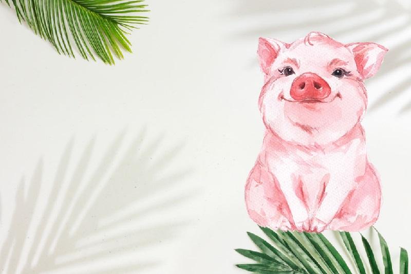 Tuổi Hợi hợp hướng nào được nhiều người tìm hiểu khi có ý định xây nhà