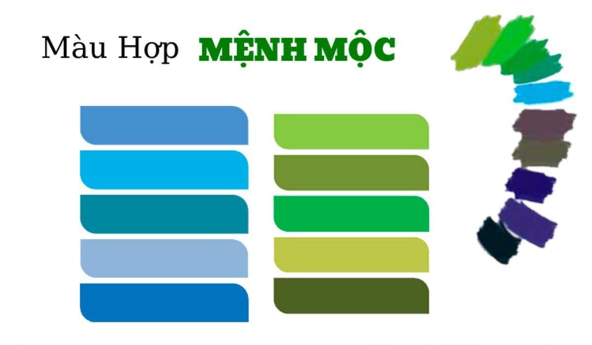 Màu hợp mệnh Mộc