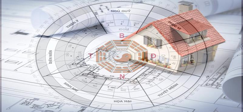 Tân Dậu 1981 hợp hướng nào xây nhà, thuê văn phòng?