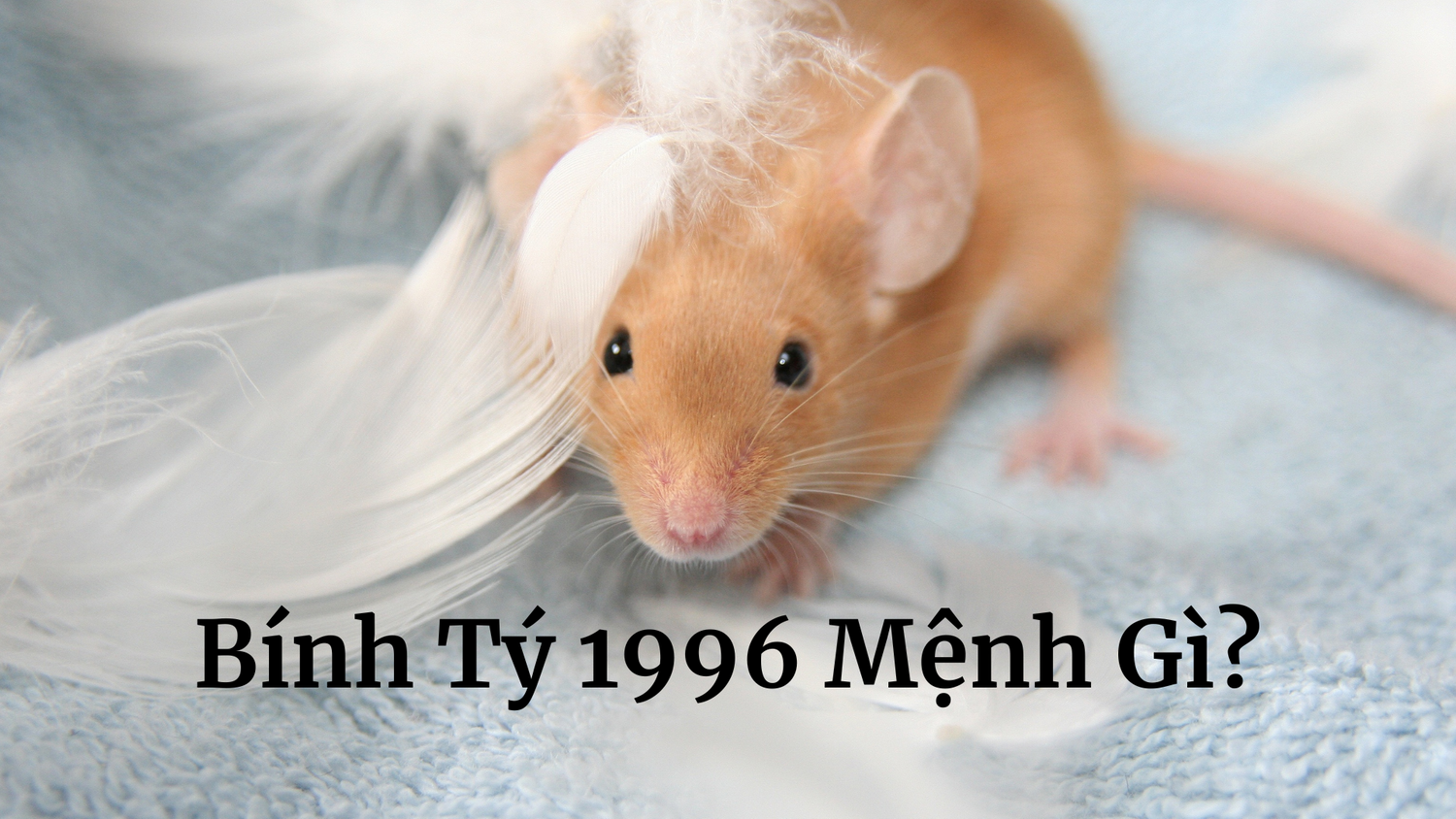 Người sinh năm 1996 thuộc mệnh Thủy, cụ thể là Giản Hạ Thủy