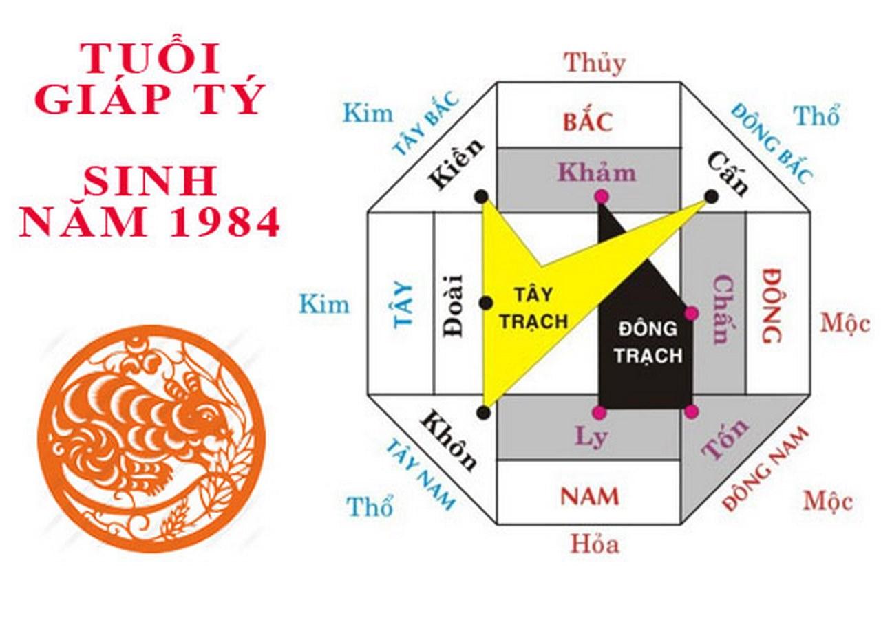 Nam giới và nữ giới sinh năm 1984 (tuổi Giáp Tý) có những hướng nhà tốt khác nhau do thuộc các mệnh quái khác nhau. 
