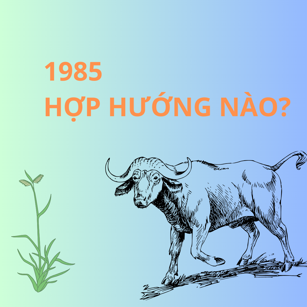 Tuổi Sửu 1985 hợp hướng nào