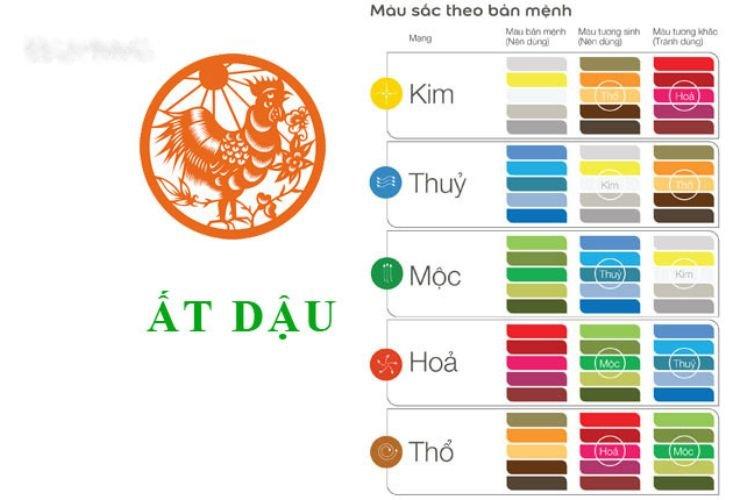 2005 hợp màu gì