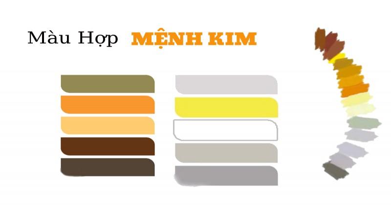 2000 hợp màu gì
