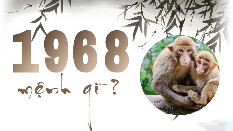 Giải mã 1968 mệnh gì