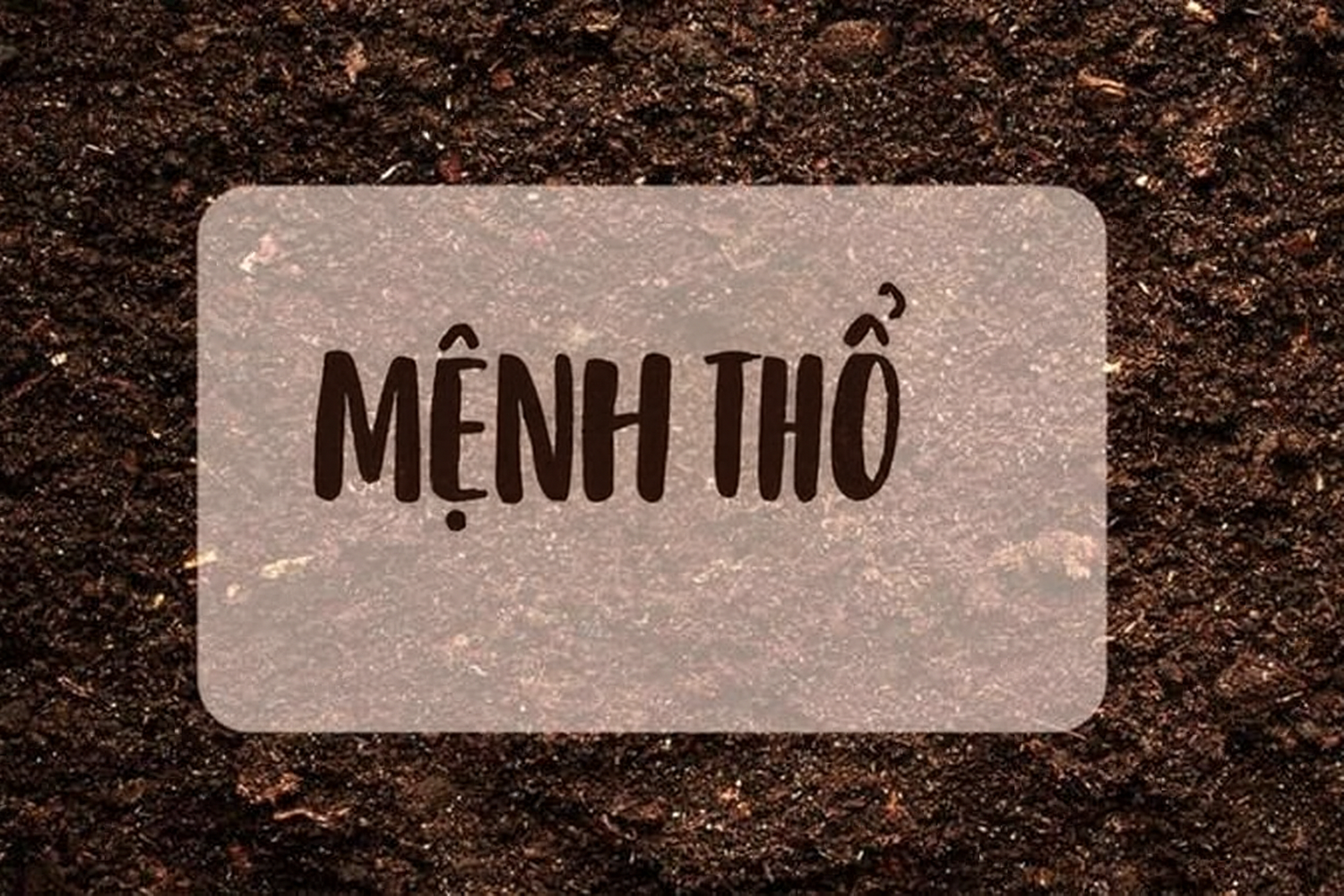 Nhiều người không biết mệnh Thổ sinh năm bao nhiêu