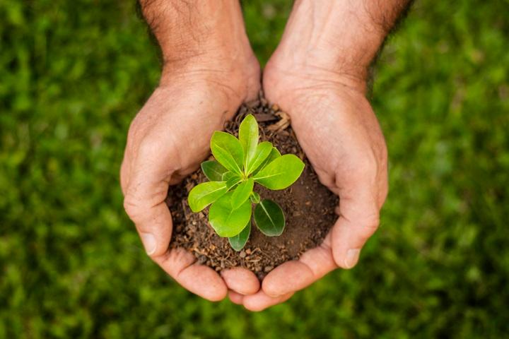 Đại Trạch Thổ là một trong sáu nạp âm của mệnh Thổ