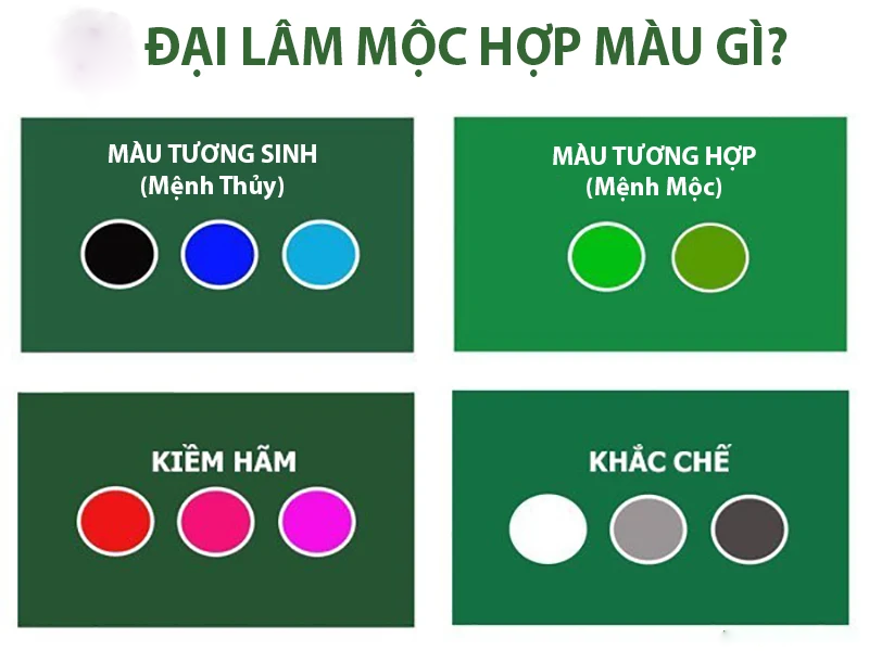 Đại Lâm Mộc hợp màu gì, kỵ màu gì