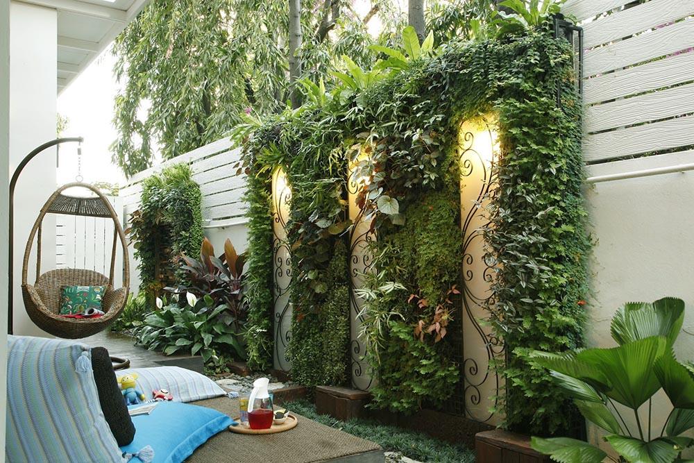 Bạn cũng có thể chọn trồng nhiều loài cây cảnh khác nhau như thế này cho bức tường nhà mình