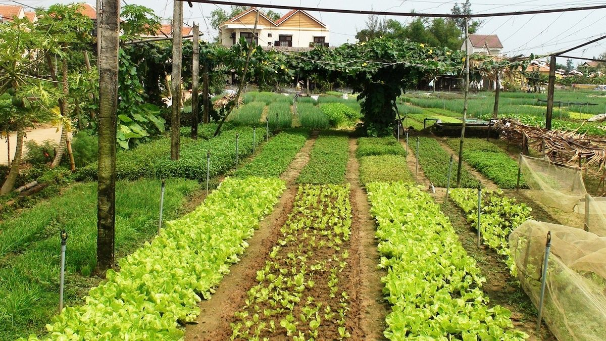 Các tài sản trên đất bị thu hồi cũng sẽ được đền bù theo bảng giá đền bù đất thổ cư